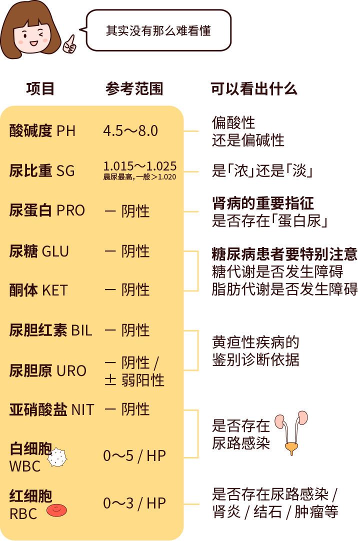 排尿黃、異味大，可能是身體在報警！
