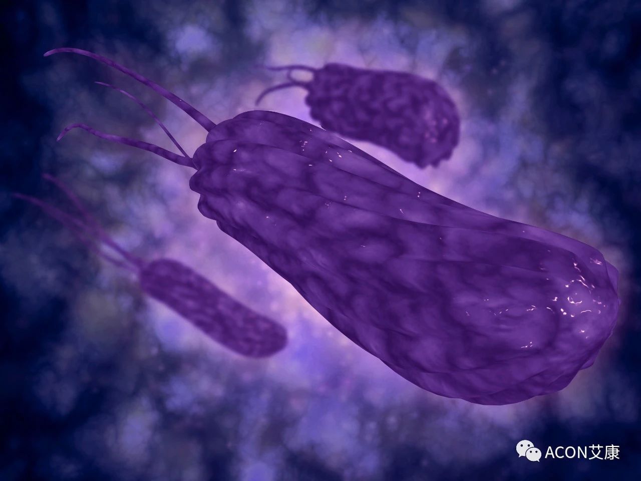 醫(yī)生總結(jié)了3位年輕胃癌患者的病例：30歲不到的他們到底干啥了？