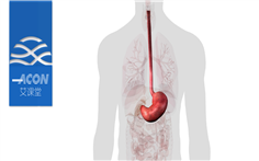 2020.11.17  艾課堂.png