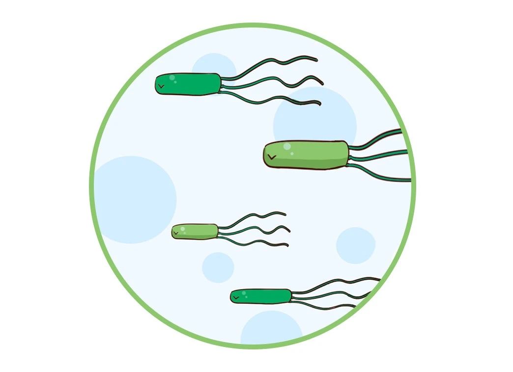 這種致癌物傳染性極強，50%中國人都有！很多人還不知道