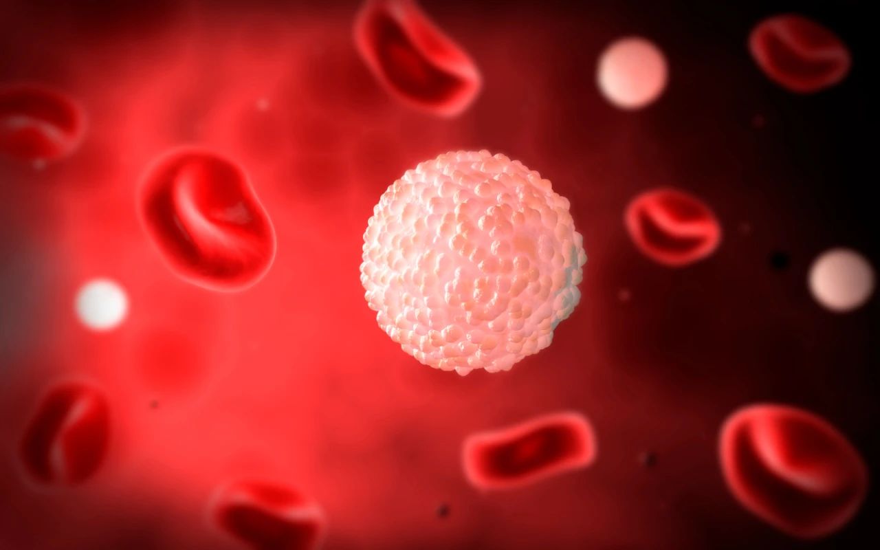 看不懂的血常規(guī)化驗(yàn)單，原來背后學(xué)問這么多