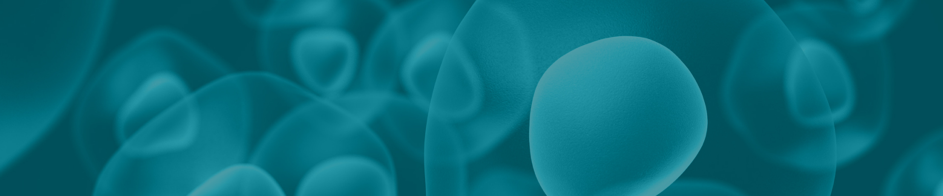 2025官網(wǎng)_欄目頁banner 03.jpg