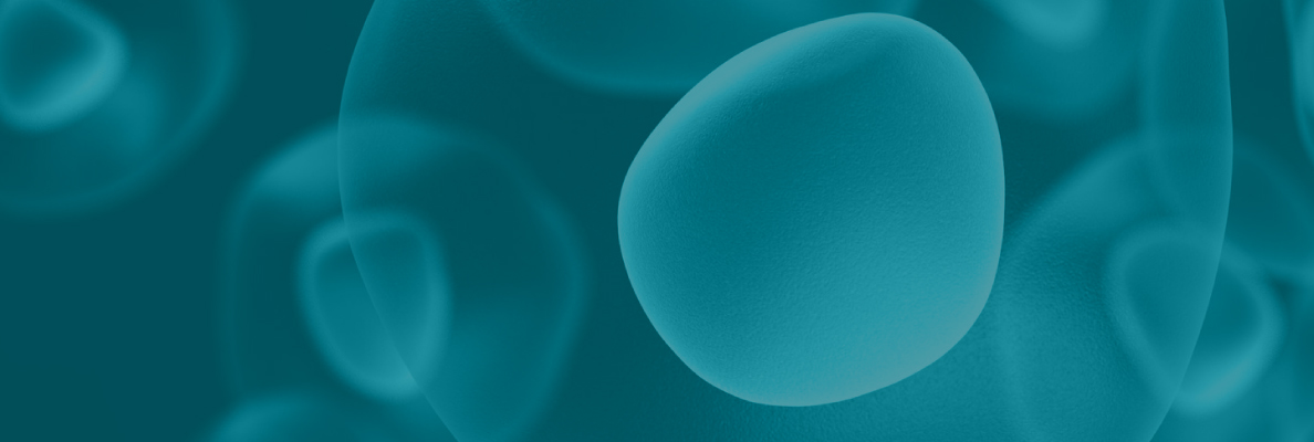 2025官網(wǎng)_欄目頁banner 04.jpg